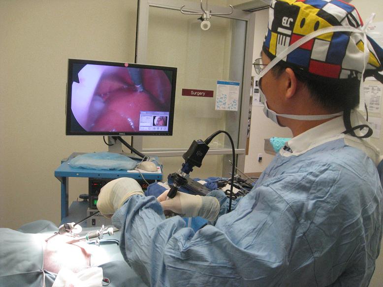 Dr. Song Doing Surgery