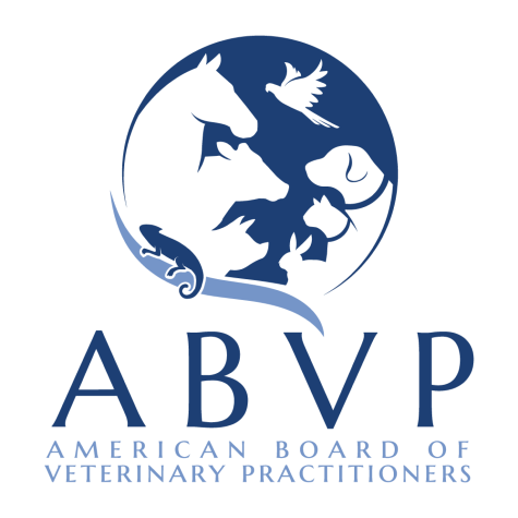 American Board of Veterinary Practitioners